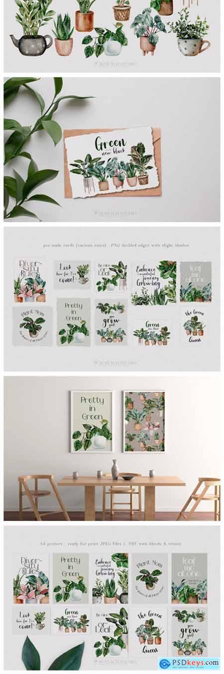 House Plants Illustrations and Patterns 10780007