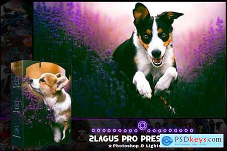 PRO Presets - V 04 - Photoshop & Lightroom