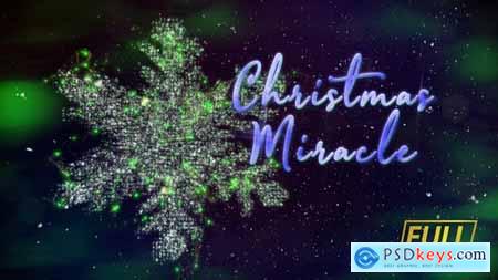 Christmas Miracle Titles 24993089