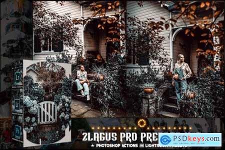 PRO Presets - V 17 - Photoshop & Lightroom