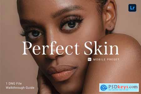 Perfect Skin Lightroom Preset 5913924