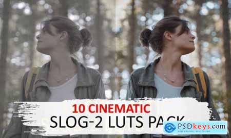 10 Cinematic Slog-2 Luts 5525741