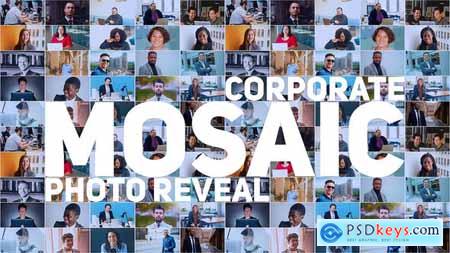 Mosaic Photo Reveal Corporate Logo 30636914