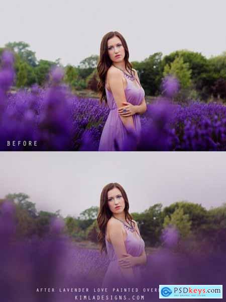 Kimla Designs - Lavender Love Photo Overlays