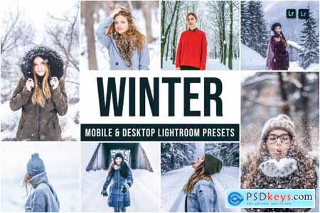 Winter Mobile and Desktop Lightroom Presets