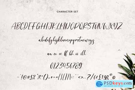 Dreamotions Handwritten Script Font