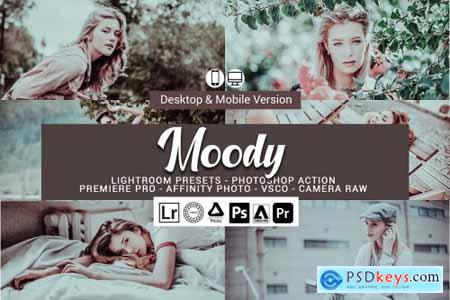 Moody Lightroom Presets 5157321