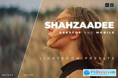 Shahzaadee Desktop and Mobile Lightroom Preset