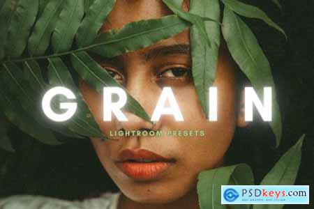 Grain Film Lightroom Presets 6051622