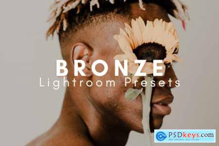 Bronze Lightroom Presets Bundle 6016467