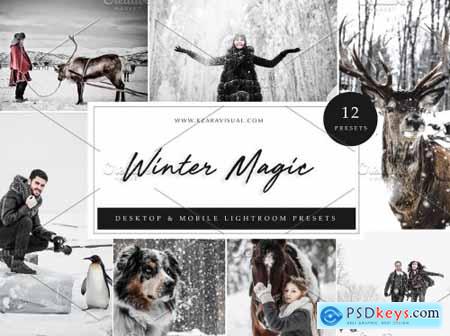 12 x Lightroom Presets, Winter Magic 5962774