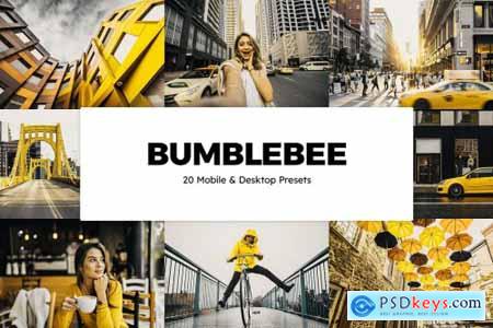 20 Bumblebee Lightroom Presets & LUTs 6179674