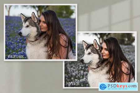 15 Furry Friends Collection 6204182