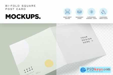 Square Bi Fold Post Card Mockups