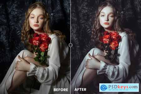 Portrait Photoshop Action & Lightrom Presets