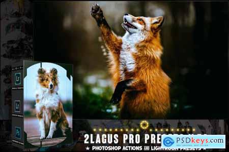 PRO Presets - V 58 - Photoshop & Lightroom