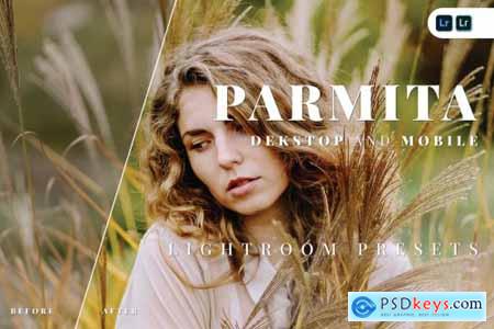 Parmita Desktop and Mobile Lightroom Preset