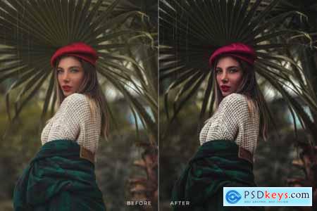 Basilia Mobile and Desktop Lightroom Presets