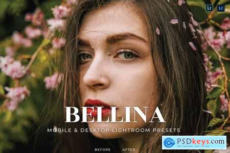 Bellina Mobile and Desktop Lightroom Presets