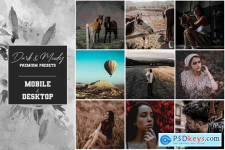 Dark and Moody Premium Presets 6008788