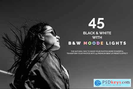 45 B&W & B&W Moody Lights LR Presets 3494593