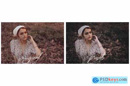 Dark and Moody Premium Presets 6008788