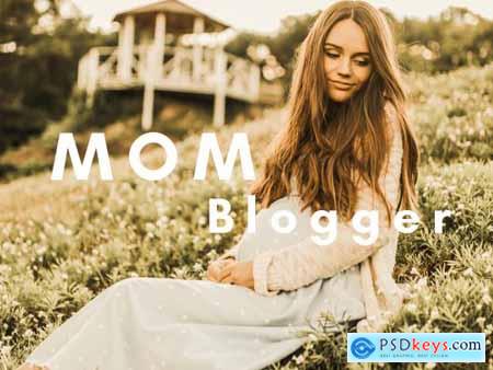 Mom Bloggers Presets 6171602