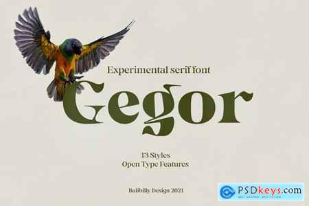 Gegor Serif Display Font 6187832