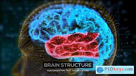 Brain Structure (4-pack) 24089741