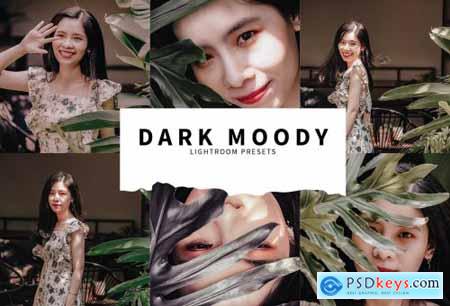 10 Dark Moody Lightroom Presets 5748492