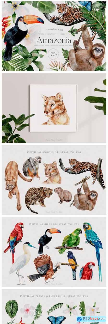 Modern Watercolor Rainforest Collection 12967096