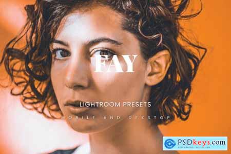 Fay Lightroom Presets Dekstop and Mobile