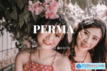 Perma Lightroom Presets Dekstop and Mobile
