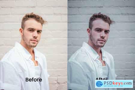 Apin Lightroom Presets Dekstop and Mobile