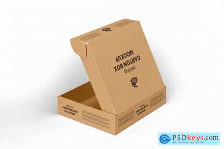 Mailing Carton Box Mockup - 9 views 6232567