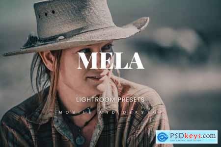Mela Lightroom Presets Dekstop and Mobile