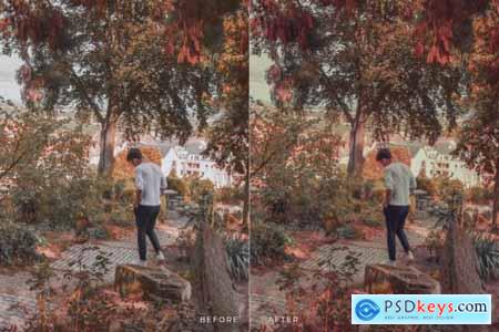 Bazna Mobile and Desktop Lightroom Presets