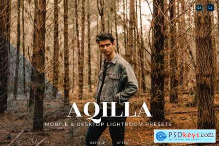 Aqilla Mobile and Desktop Lightroom Presets