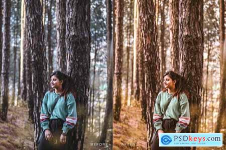 Aqilla Mobile and Desktop Lightroom Presets