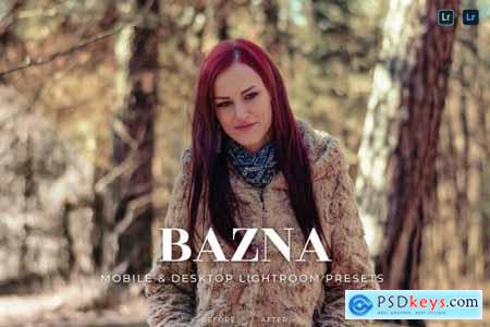 Bazna Mobile and Desktop Lightroom Presets