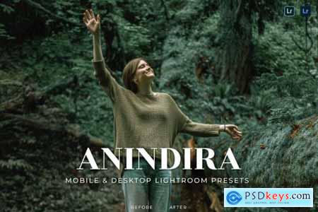 Anindira Mobile and Desktop Lightroom Presets