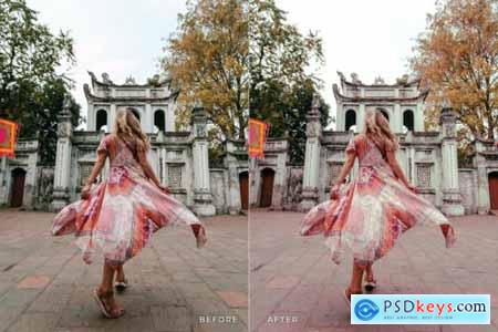 Anggun Mobile and Desktop Lightroom Presets