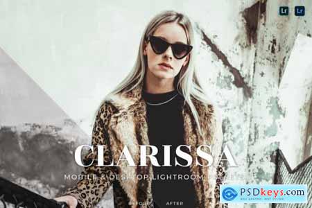Clarissa Mobile and Desktop Lightroom Presets