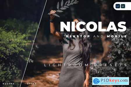 Nicolas Desktop and Mobile Lightroom Preset