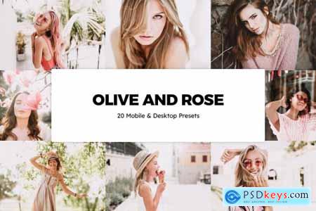 20 Olive and Rose Lightroom Presets & LUTs 6237746