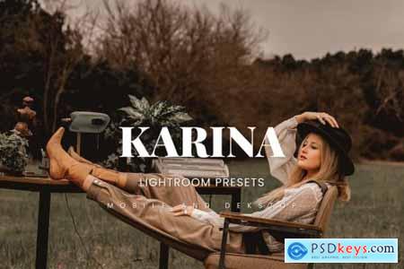 Karina Lightroom Presets Dekstop and Mobile