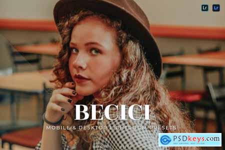 Becici Mobile and Desktop Lightroom Presets