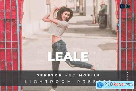 Leale Desktop and Mobile Lightroom Preset