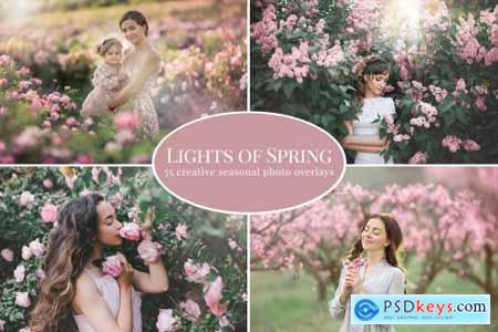 Lights of Spring photo overlays 5879066