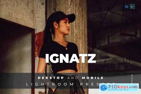 Ignatz Desktop and Mobile Lightroom Preset